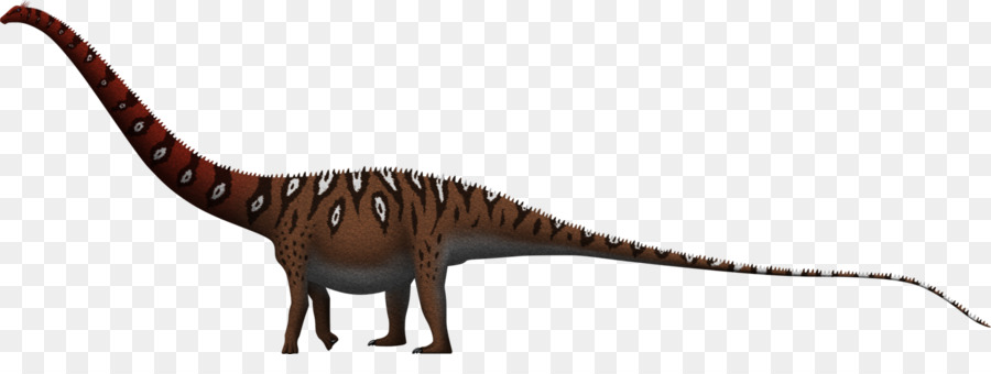 Dinheirosaurus，Amfikoelias PNG