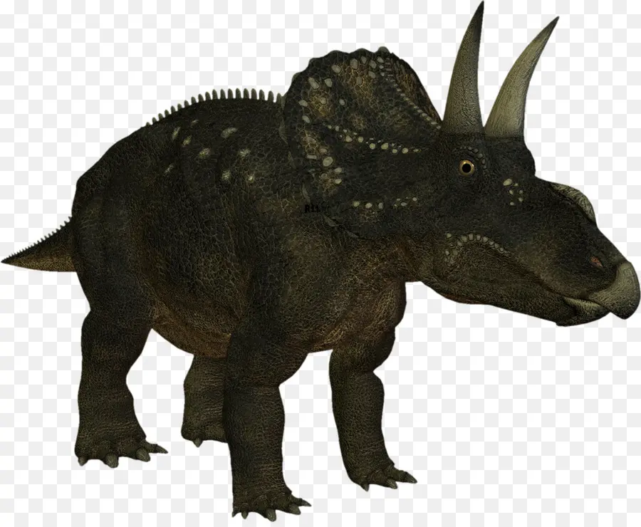 Triceratops，Tarih öncesi PNG