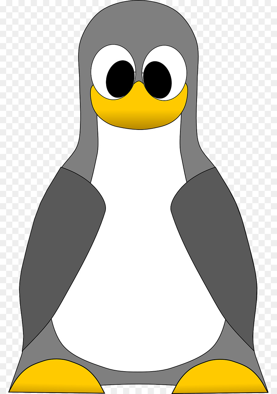 Penguen，Kuş PNG