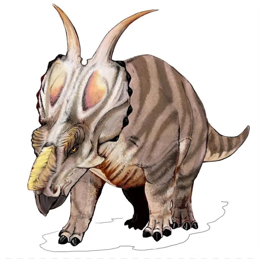 Cenrosaurus，Einiosaurus PNG