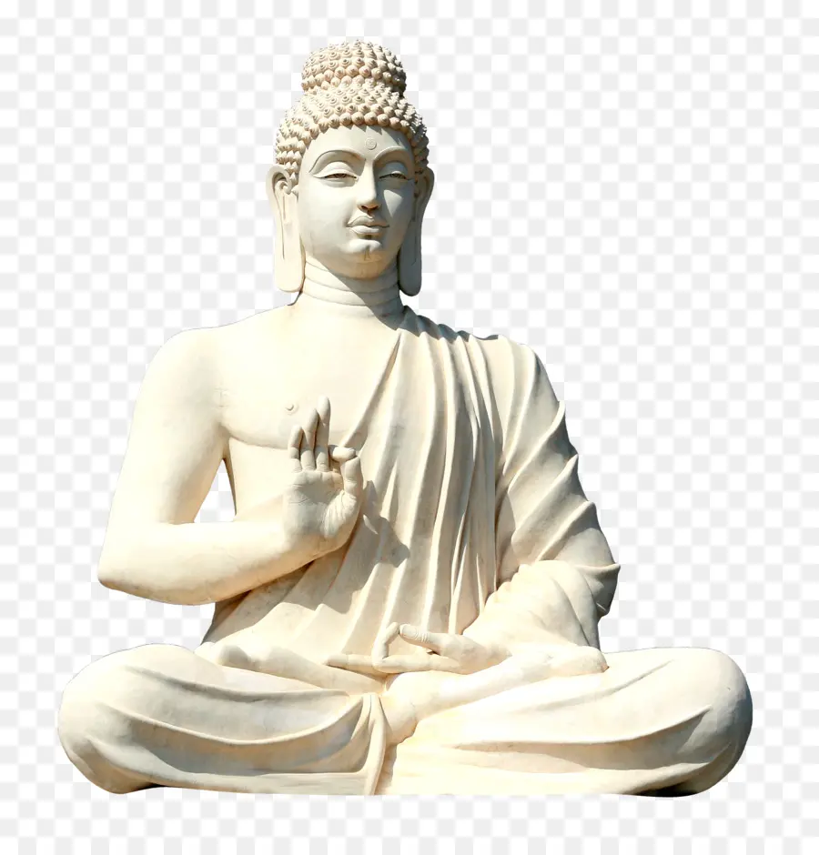 Gül Buddha，Tayfun Taşkıran PNG
