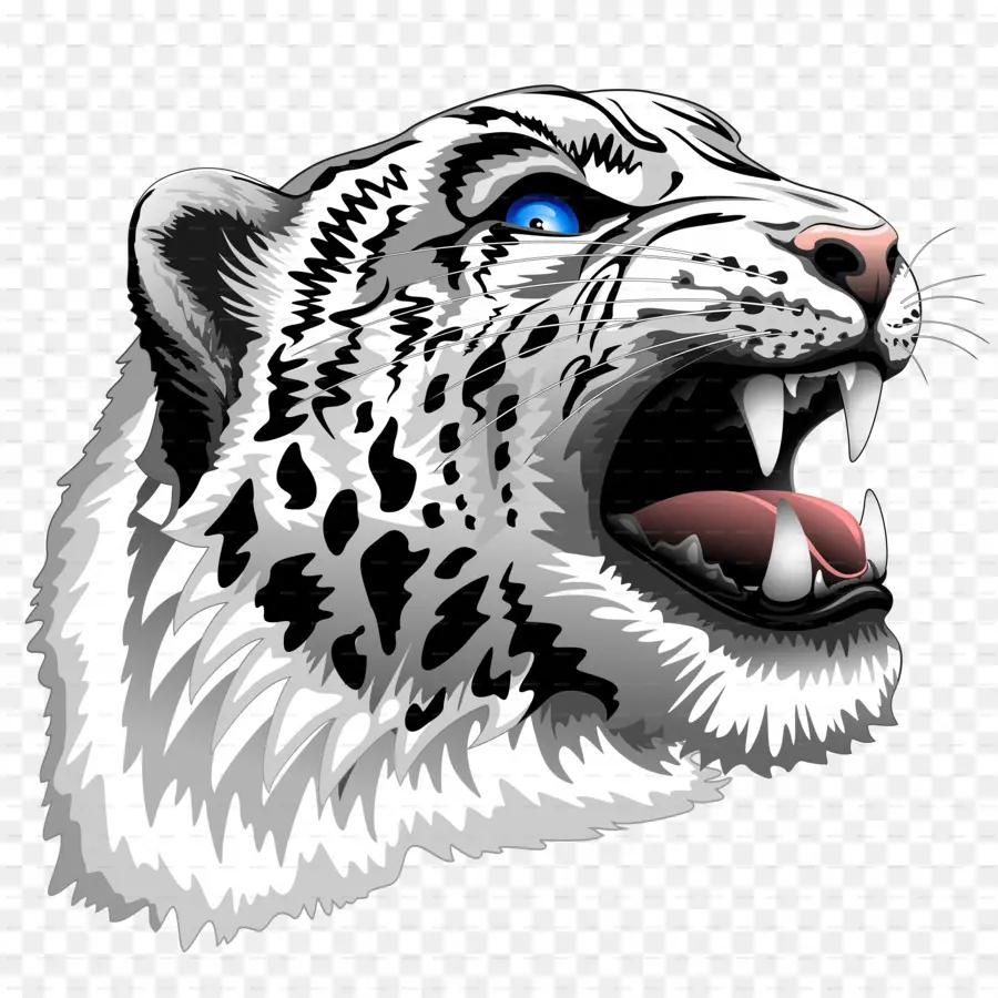 Leopar Kafası，Büyük Kedi PNG