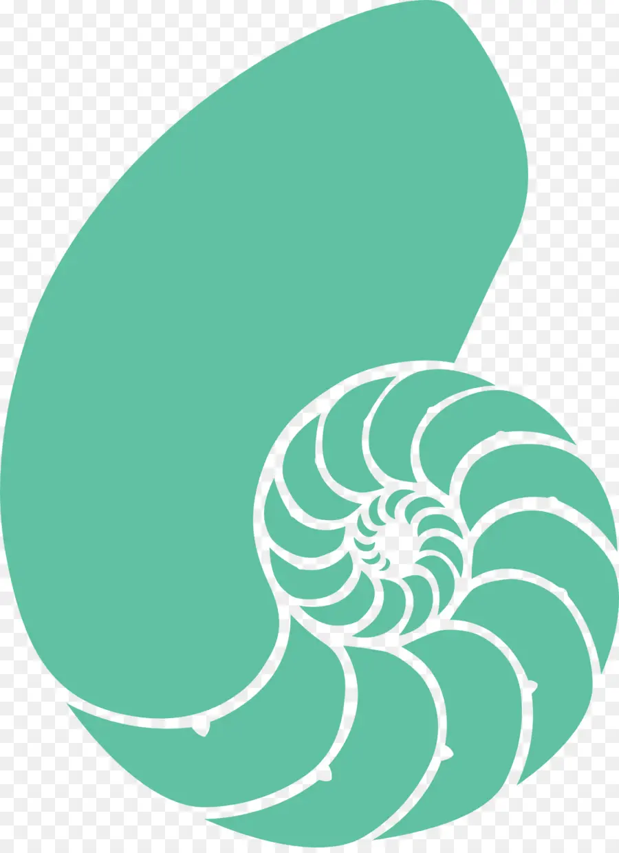 Yeşil Nautilus Kabuğu，Nautilus PNG