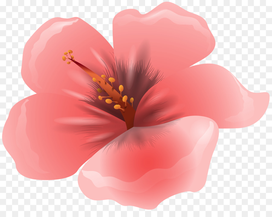 Pembe çiçekler，çiçek PNG