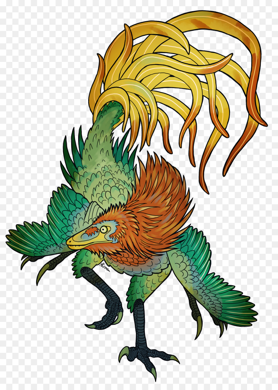 Phoenix Tavuk，Jinfengopteryx PNG