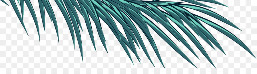 Arecaceae，Mavi PNG