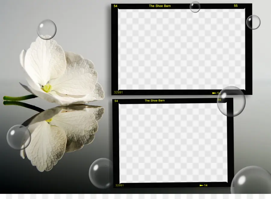 Fotoğraf Çerçeveleri，Çiçek PNG