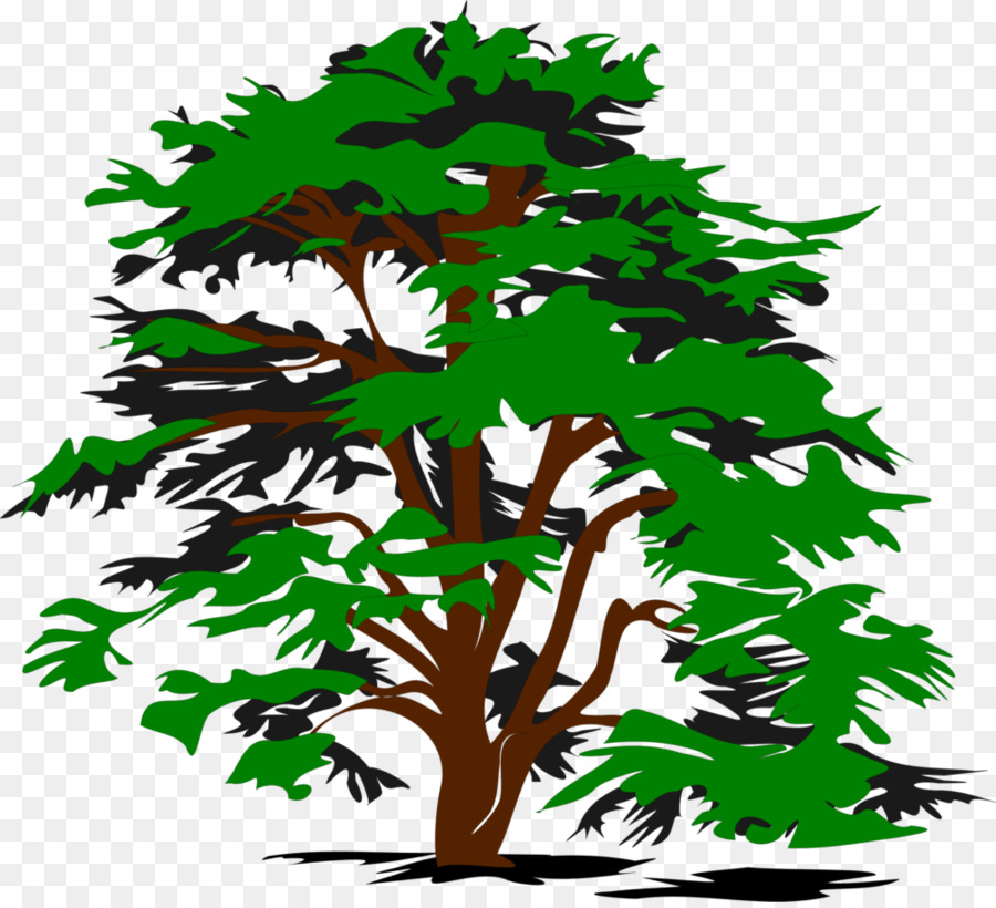 Ağaç，Siyah Ve Beyaz PNG