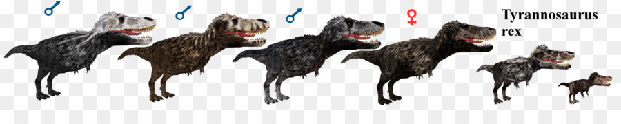 Utahraptor，Allosaurus PNG