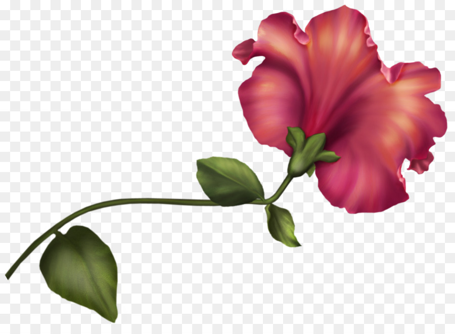 çiçek，Lale PNG