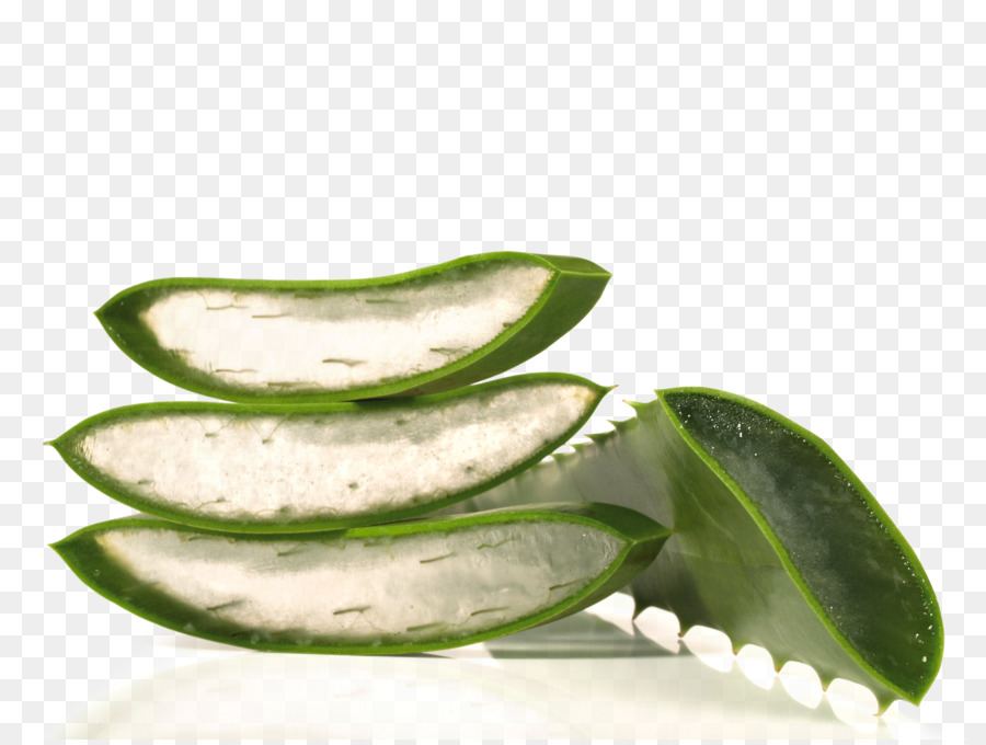 Aloe Vera，Etli PNG