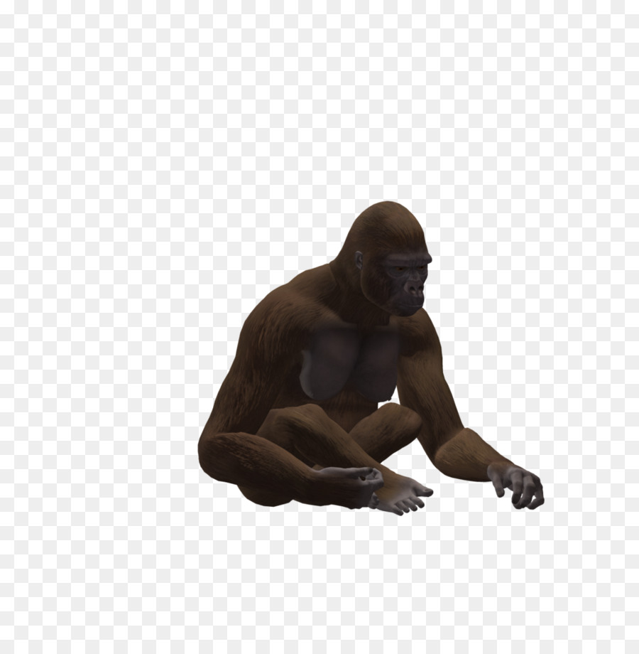 Goril，şempanze PNG
