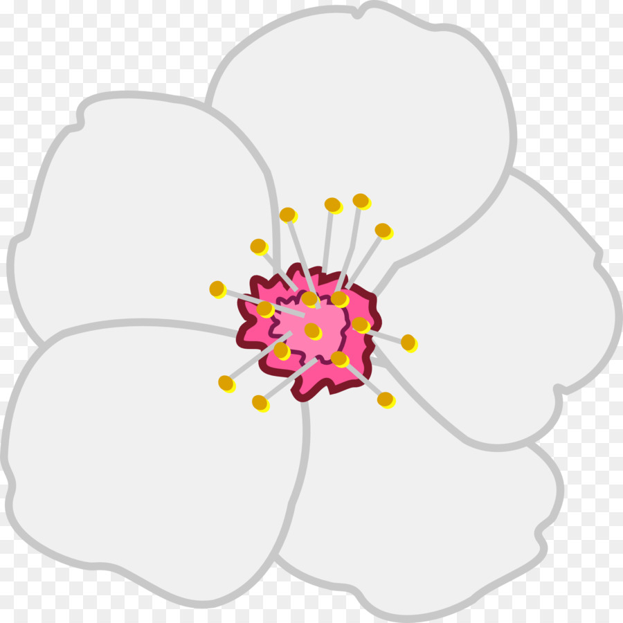 çiçeği，çiçek PNG