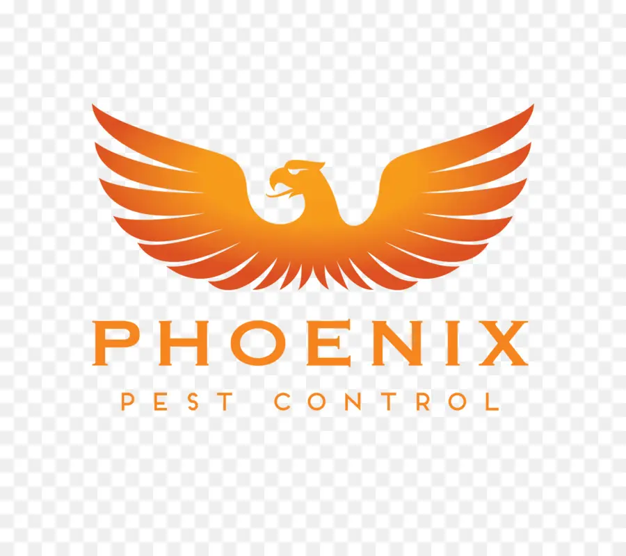 Phoenix Logosu，Kuş PNG