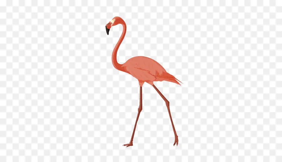 Flamingo，Pembe PNG