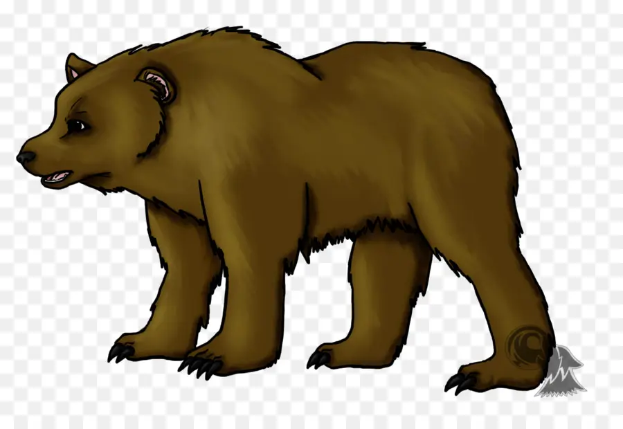 Ayı，Brown Bear Brown Bear Ne Görüyorsun PNG