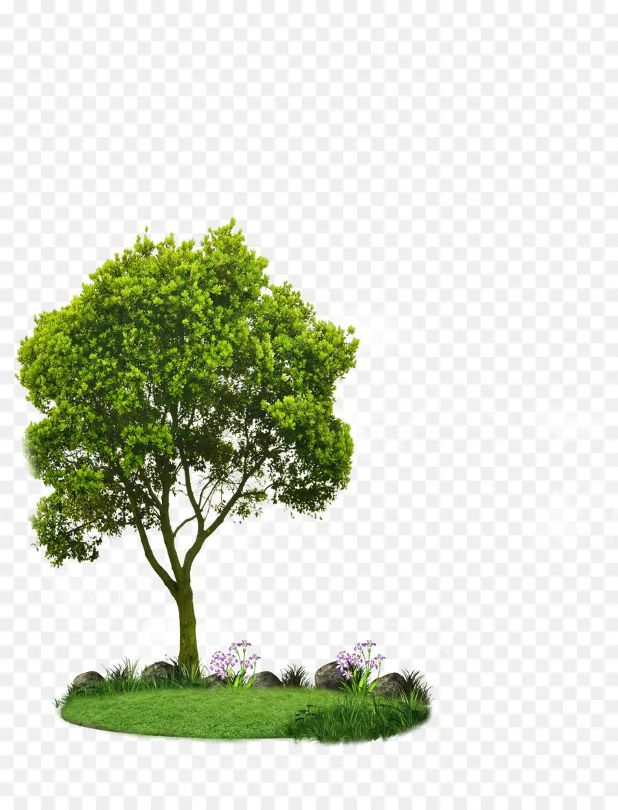 Küçük Ağaçlar Seçimi，Ağaç PNG