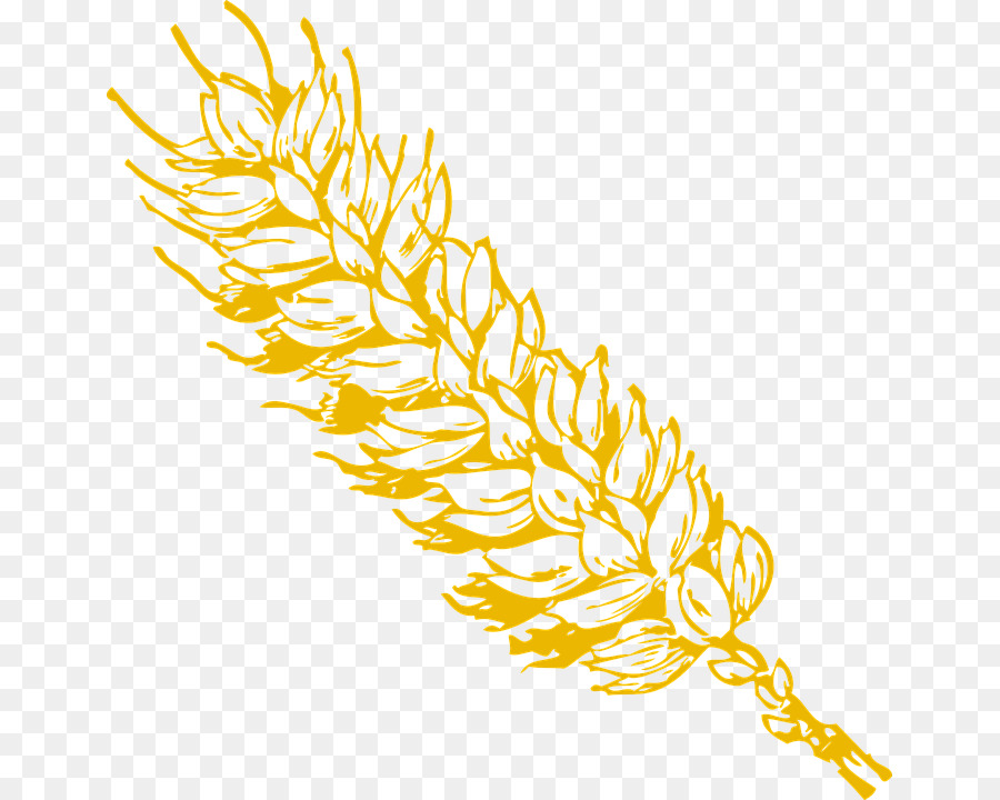 Buğday，Tahıl PNG