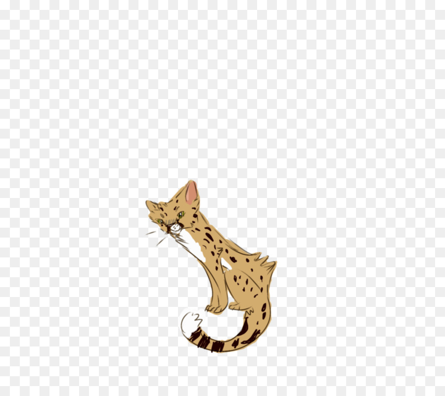 Kedi，Memeli PNG