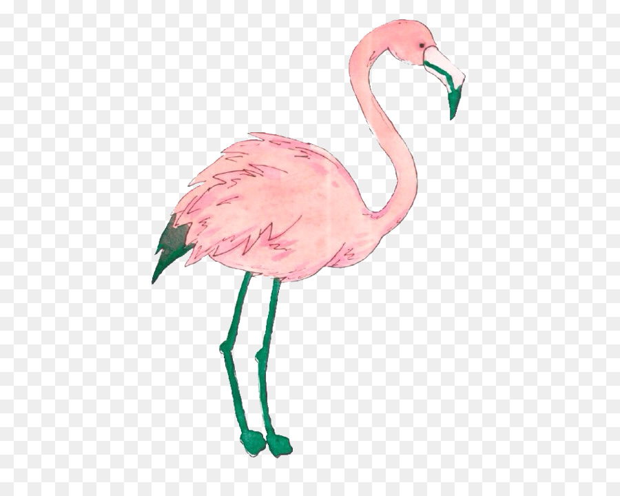 Flamingo，Ananas PNG