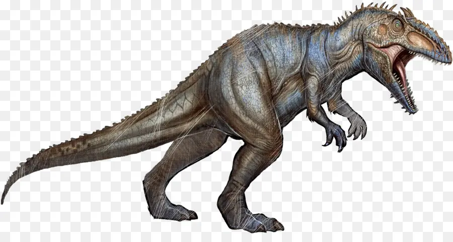 Ark Survival Gelişti，Giganotosaurus PNG