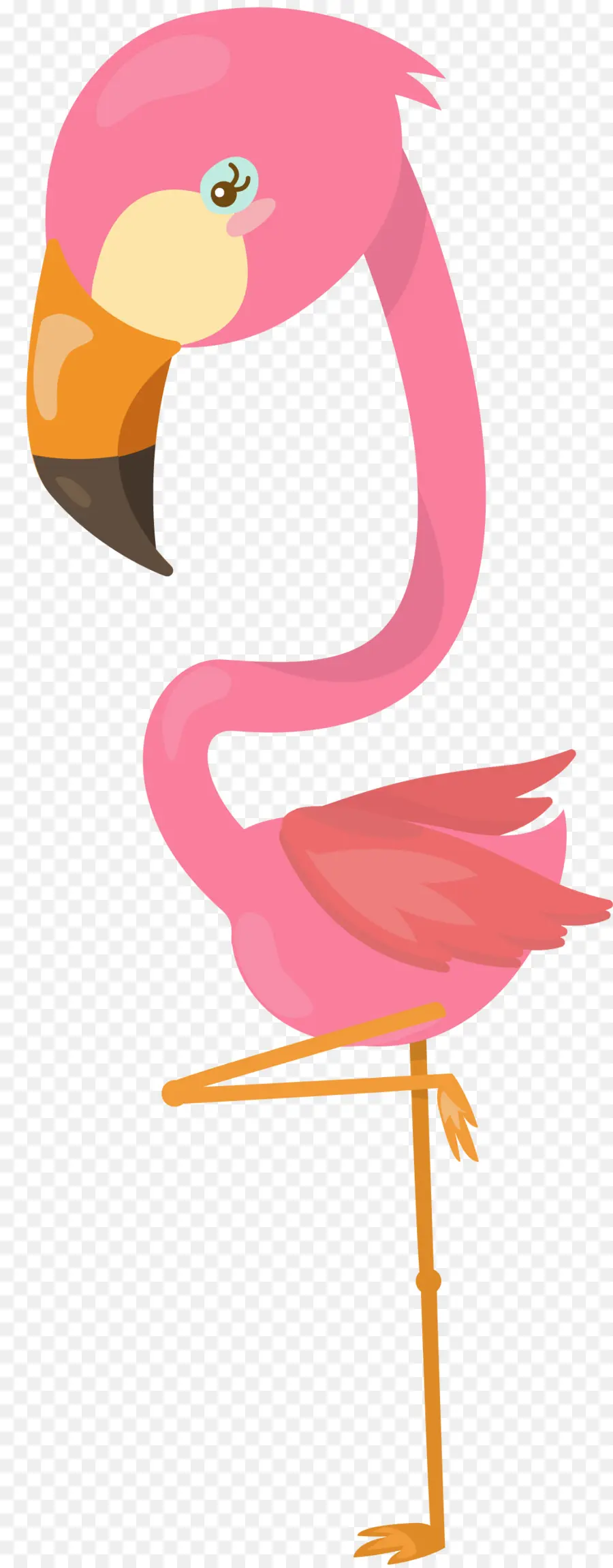 Flamingolar，Su Kuşu PNG