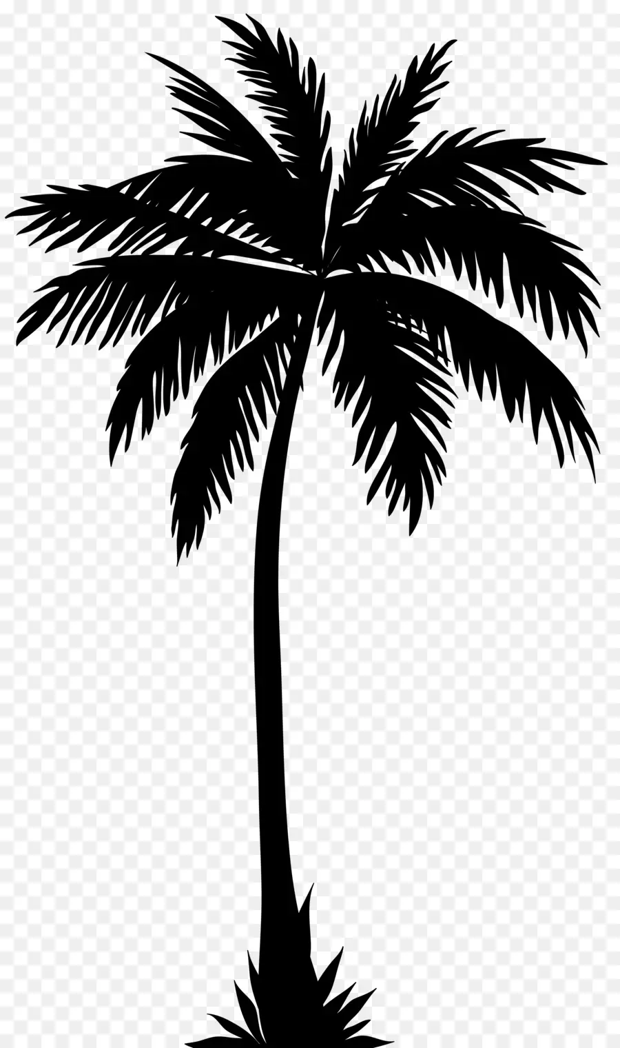 Arecaceae，Siluet PNG