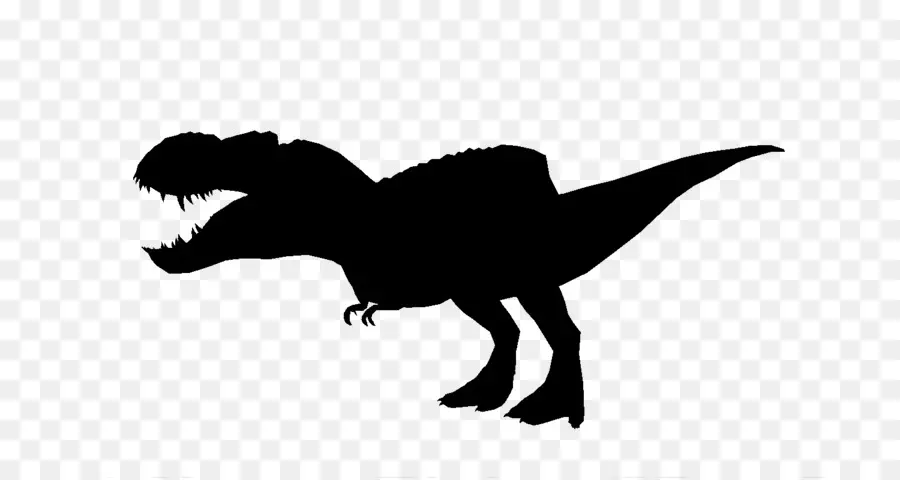 Tyrannosaurus Rex，Velociraptor PNG