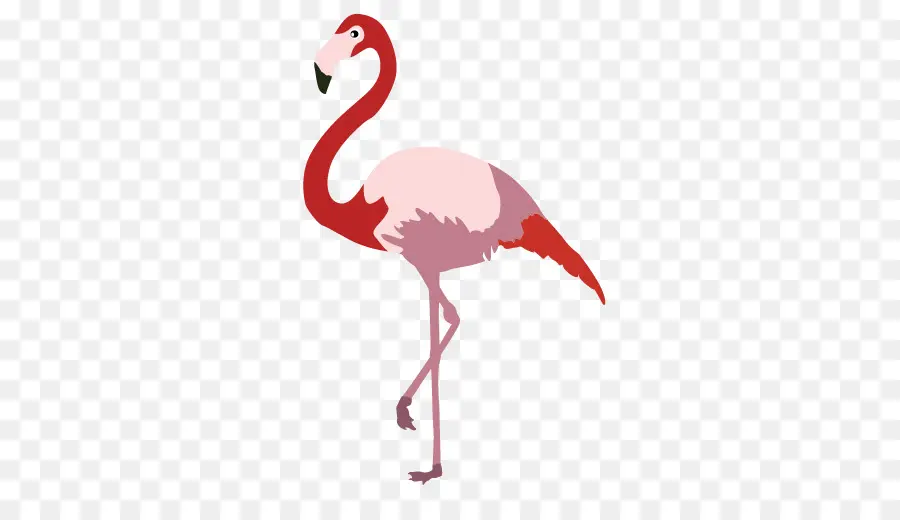 Geometrik Flamingo，Pembe PNG