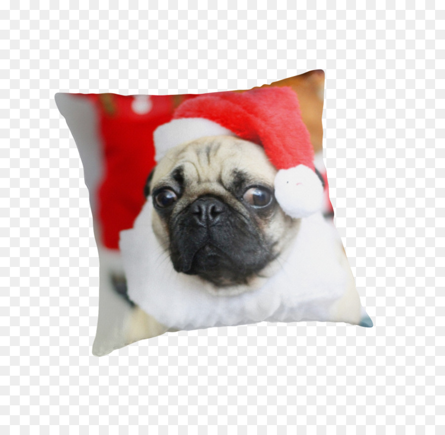 Boksor，Köpek Yavrusu PNG