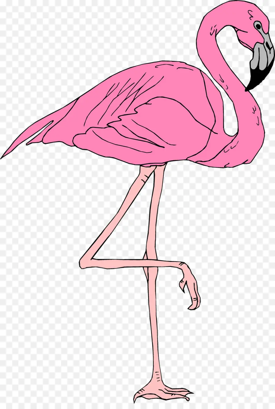 Flamingo，Pembe PNG