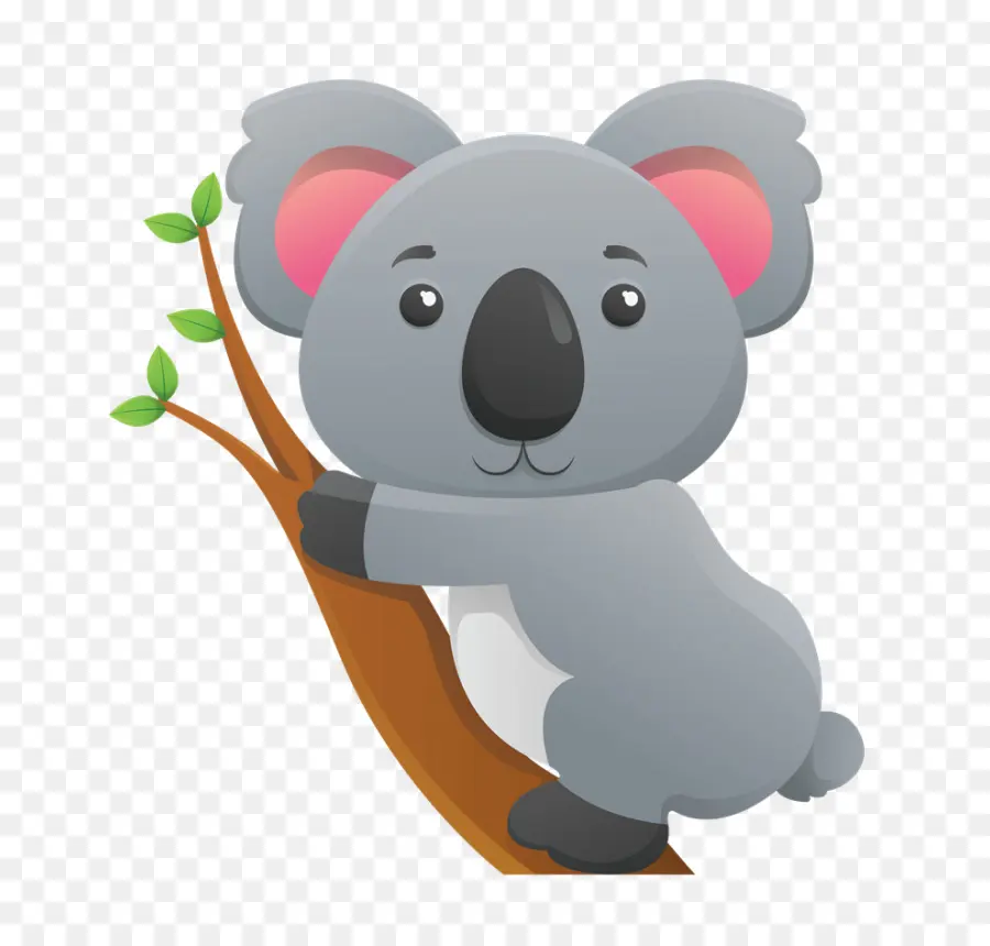 Koala，Ağaç PNG