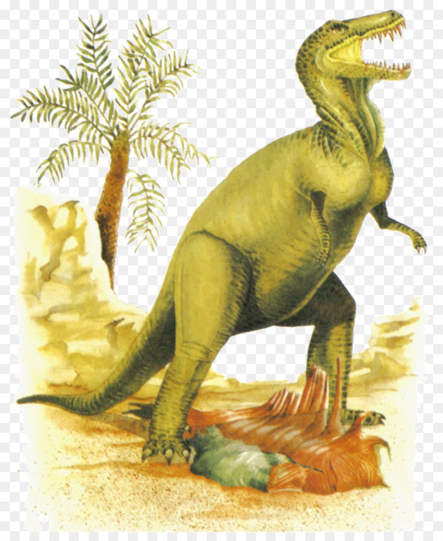 Tyrannosaurus，Dinozorlar Yeni Kompakt Tespit Kitabı PNG