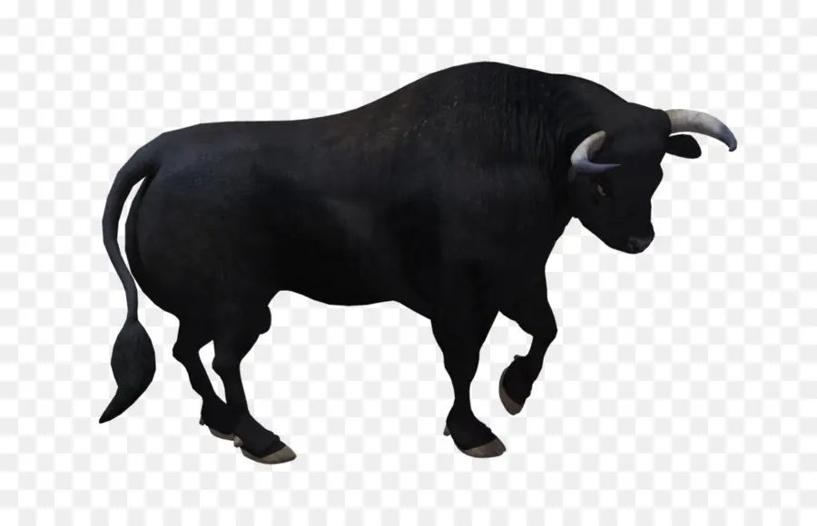 Yak，Memeli PNG