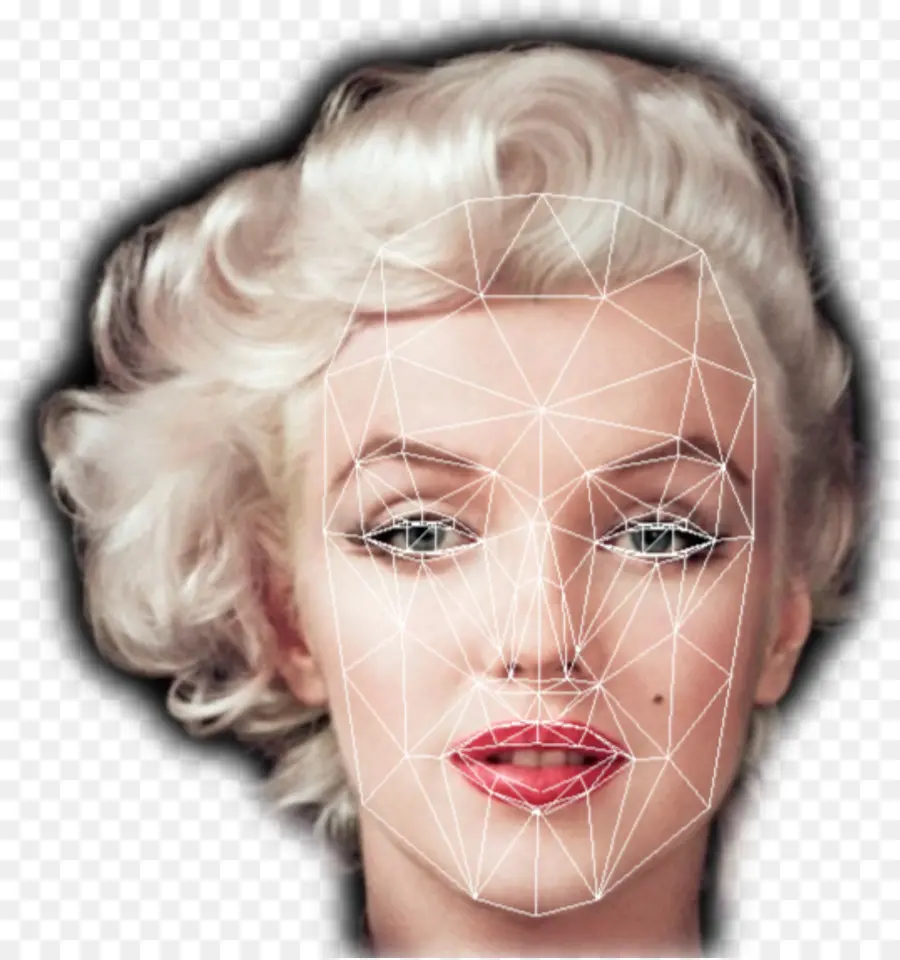 Marilyn Monroe，Saç PNG