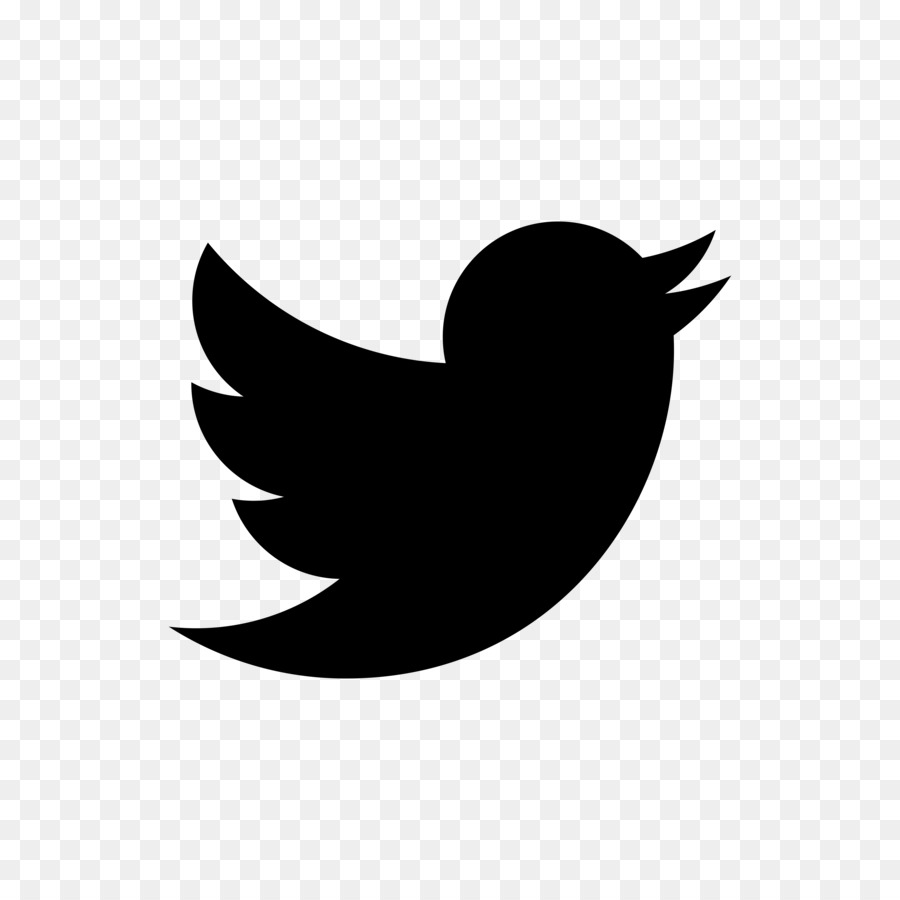 Twitter Logosu，Kuş PNG