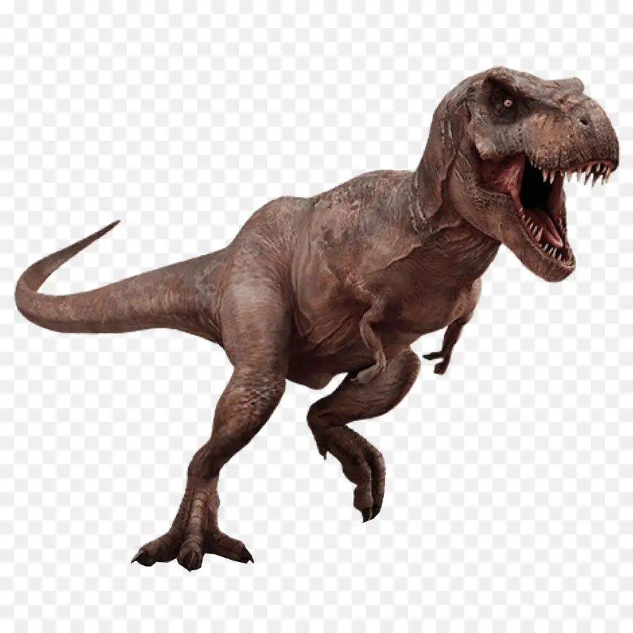 T Rex，Dişler PNG