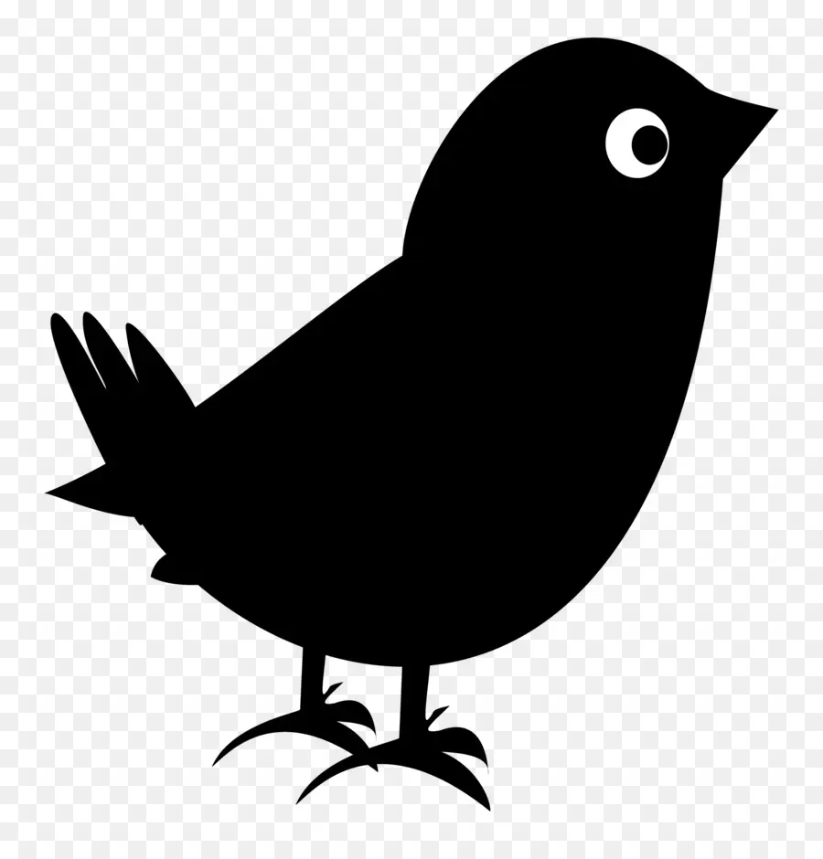 Kuş，Blackbird Girişimler PNG