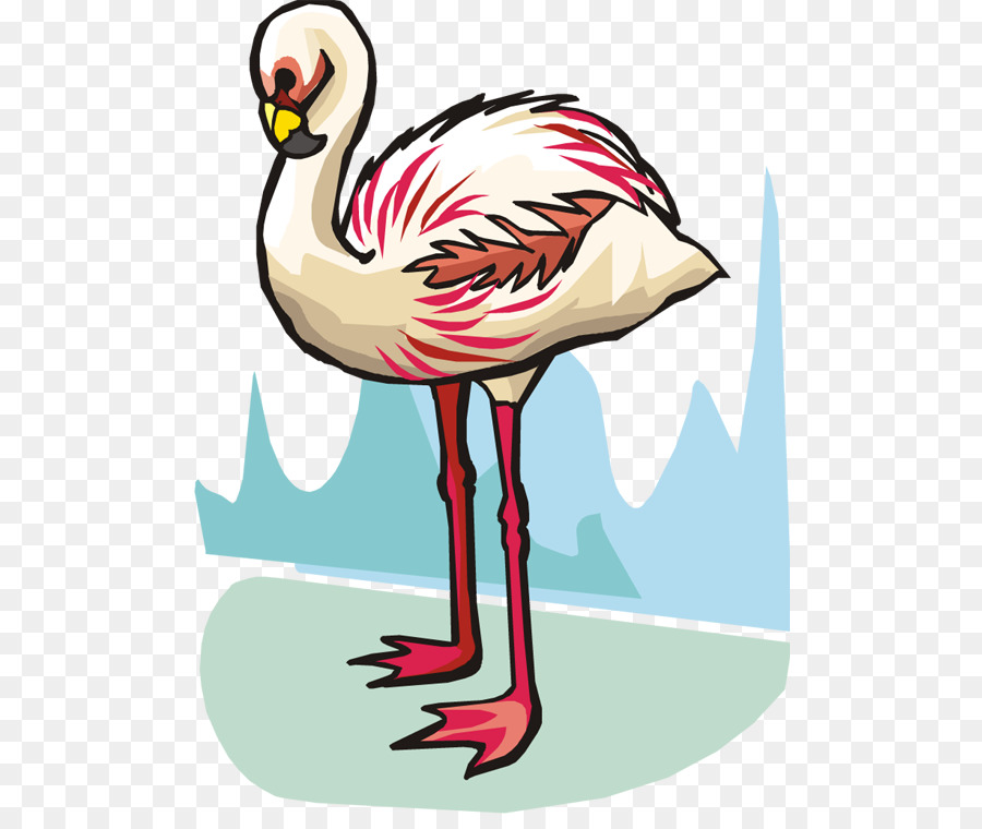 Kuş，Flamingo PNG