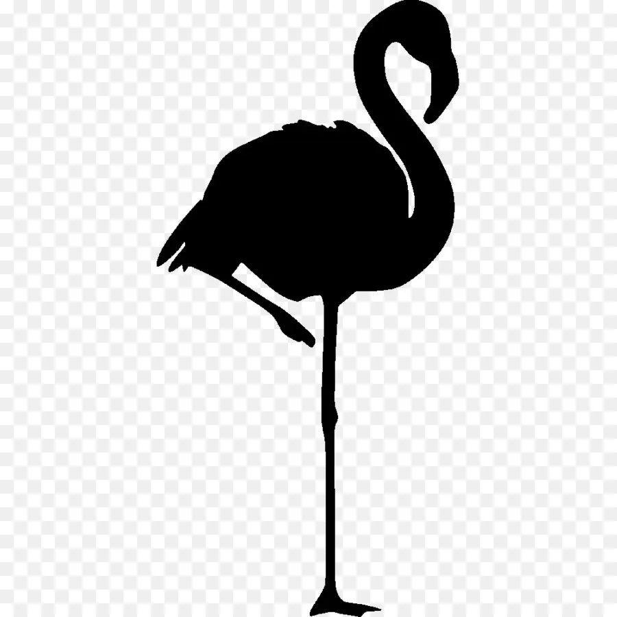 Flamingo，Logo PNG
