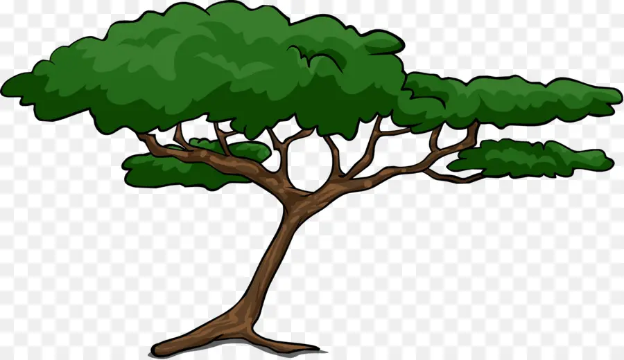 Afrika Ağaçları，Ağaç PNG