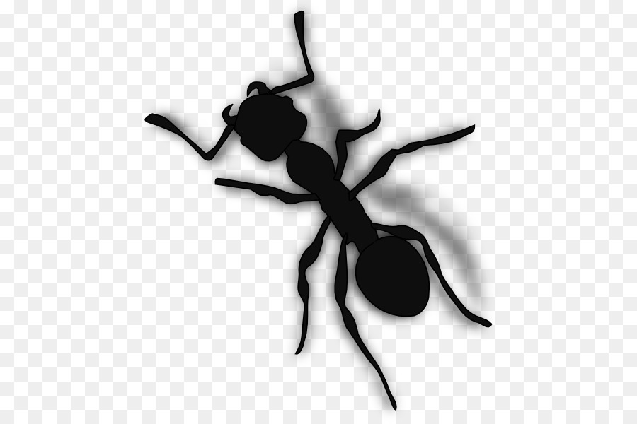 Karınca，Bilgisayar Simgeleri PNG
