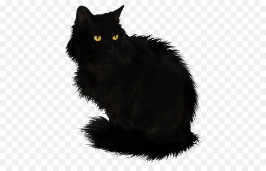 Kara Kedi，Yeşil Gözler PNG