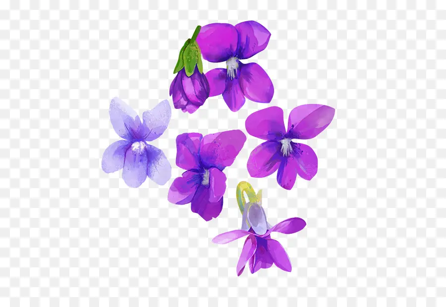 Çiçek Suluboya，çiçek PNG