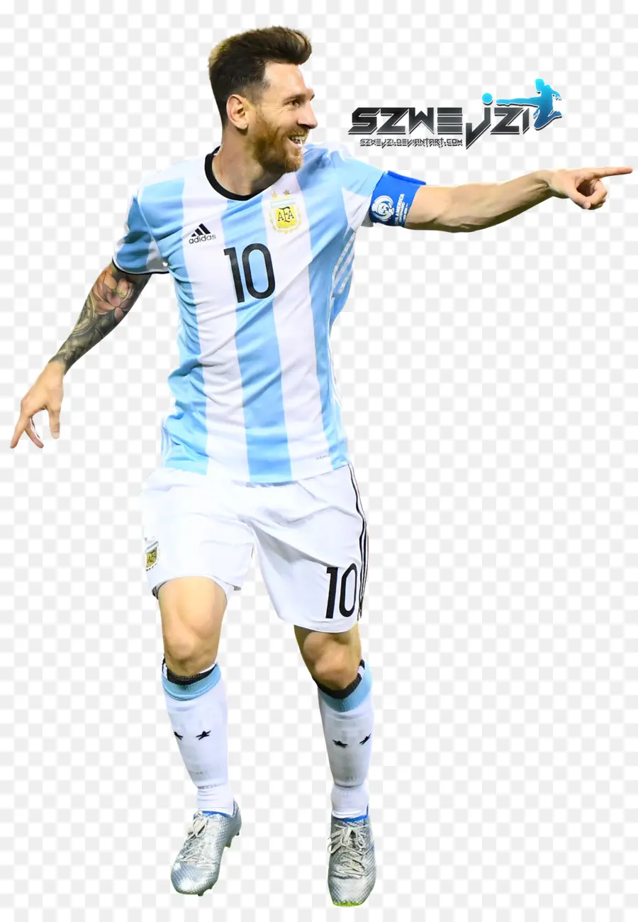 Arjantin Milli Futbol Takımı，Fifa Dünya Kupası PNG