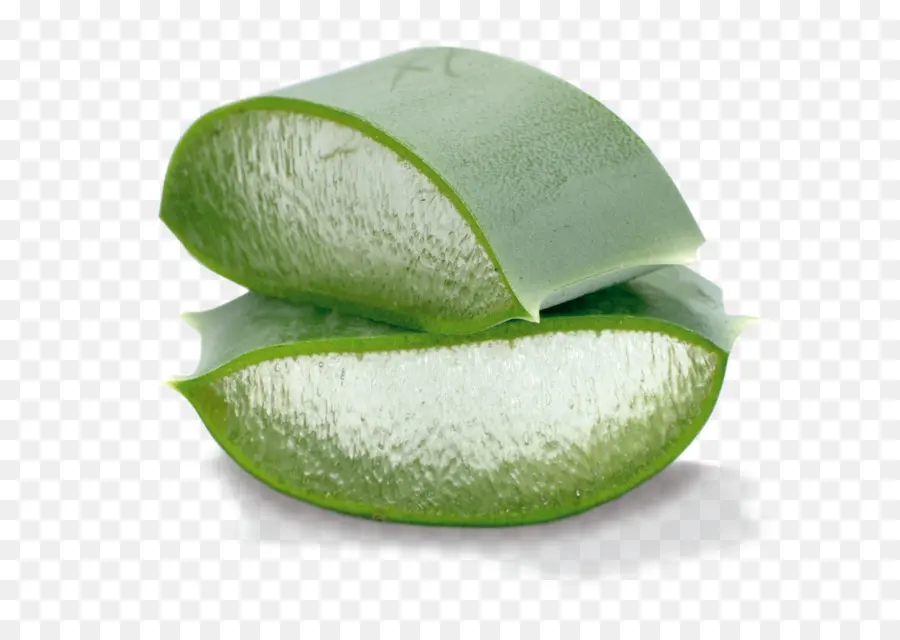 Aloe Vera，Etli PNG