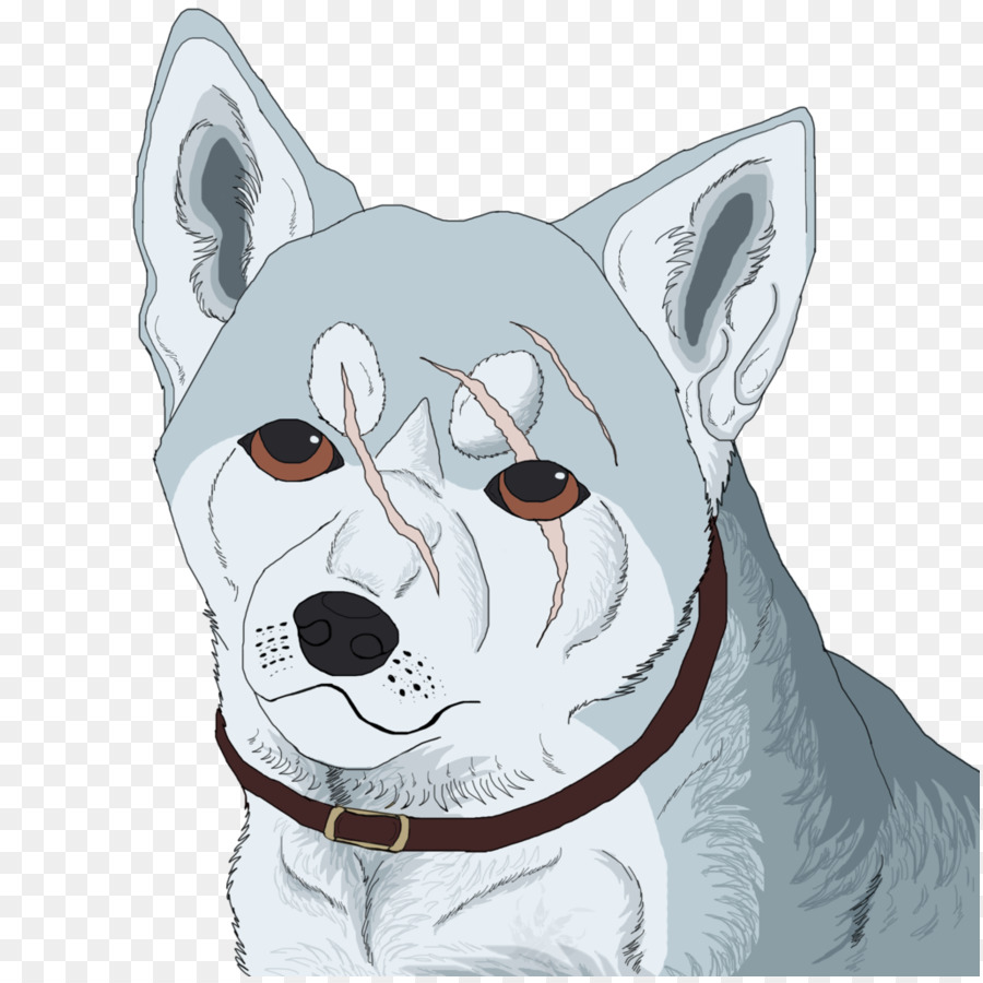 Akita，Kaplan PNG