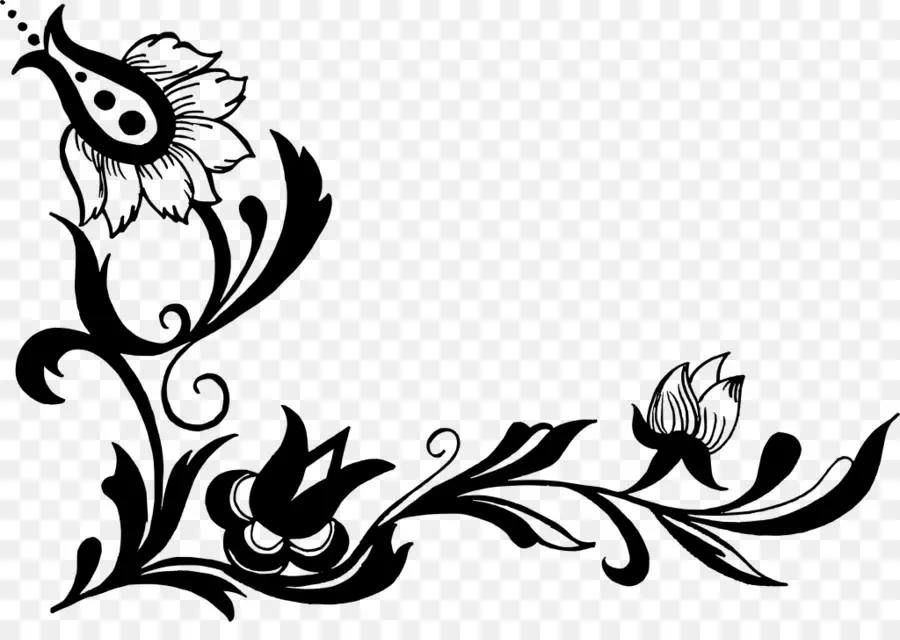 çiçek，Siyah Beyaz Fotoğraf PNG