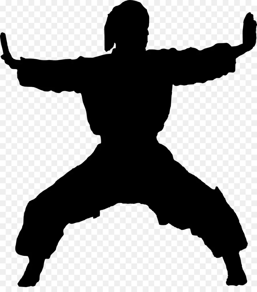 Karate，Dövüş Sanatları PNG