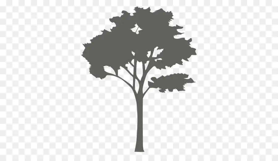 Ağaç，Siluet PNG